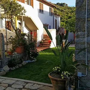 L'ogliera Dell'aia Pomonte